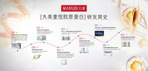 定持续高速增长布局多元战略k8凯发网站丸美2025锚(图1)
