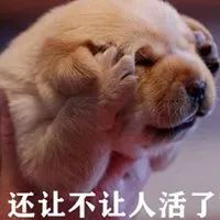 护手霜单支竟低至 343 元凯发平台好闻又好用！欧舒丹(图2)